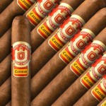 Saint Luis Rey Carenas Toro