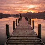 CAO Flathead V554 Camshaft