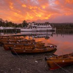 CAO Flathead V554 Camshaft