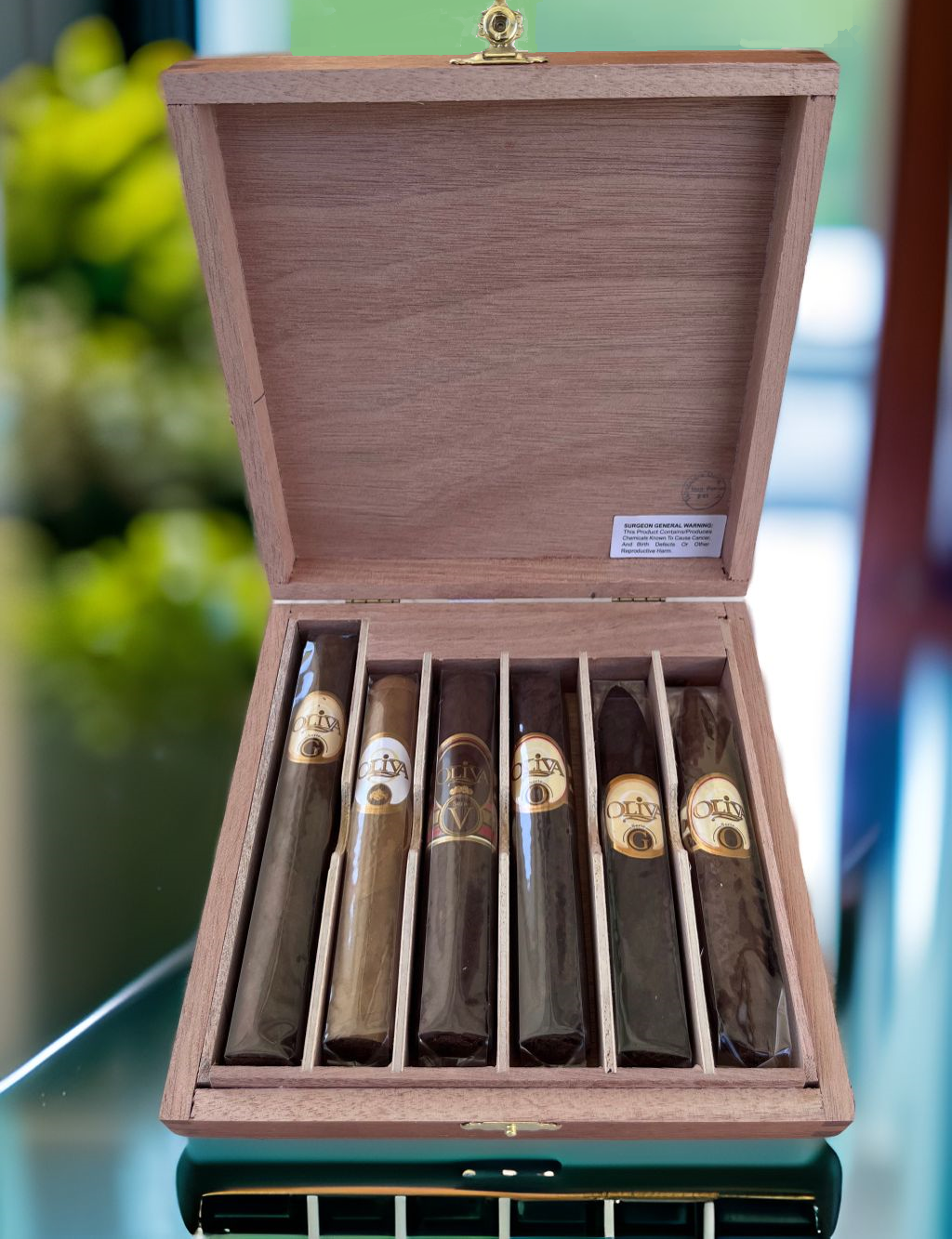 Oliva Variety Sampler 6 Cigars